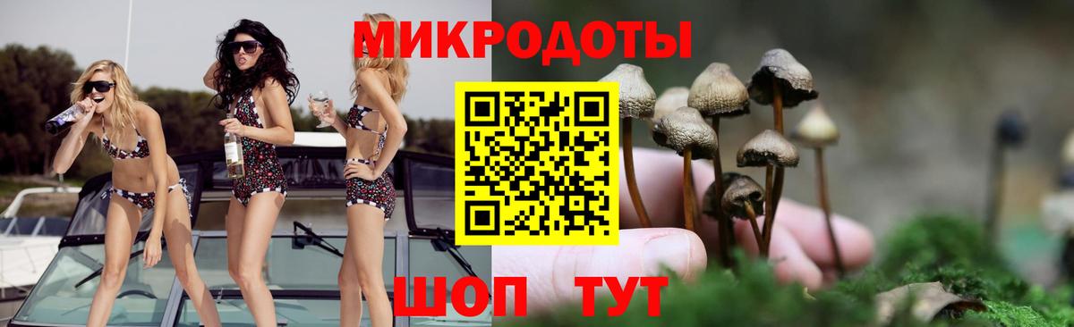 Псилоцибиновые грибы прущие грибы Верхний Уфалей